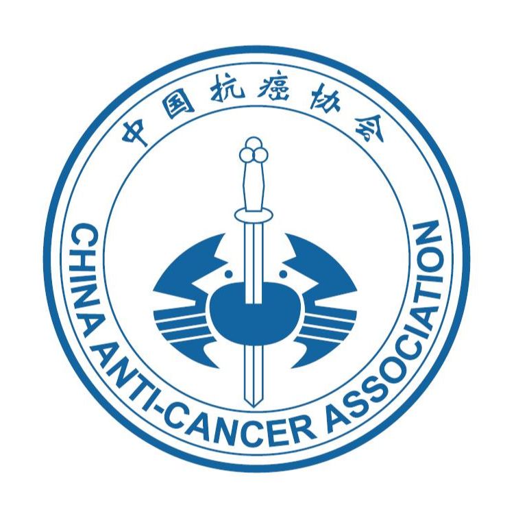 开云